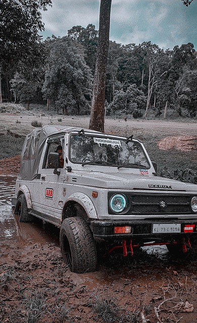 这家西甲豪 这家西甲豪