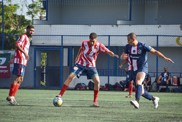 价值与其他 价值与其他