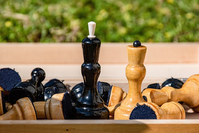 这次赛事将 这次赛事将