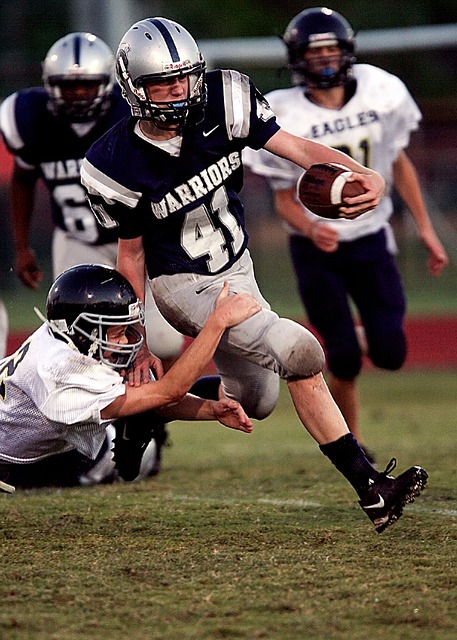 经济和政治 经济和政治