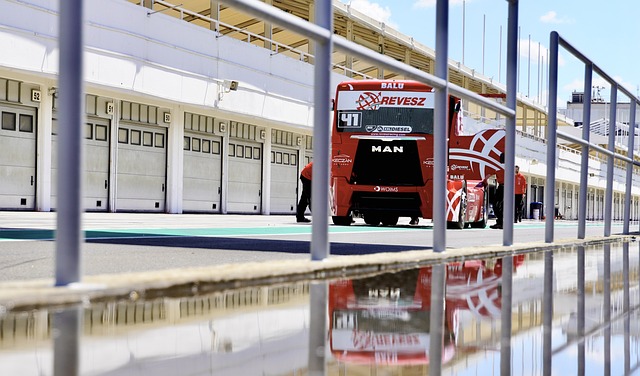 能显得不够 能显得不够