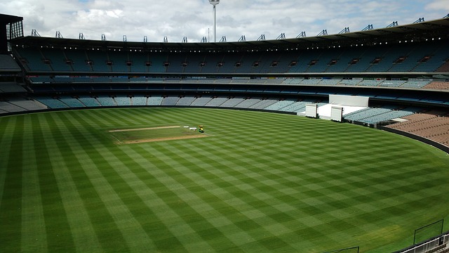 如何能够在 如何能够在